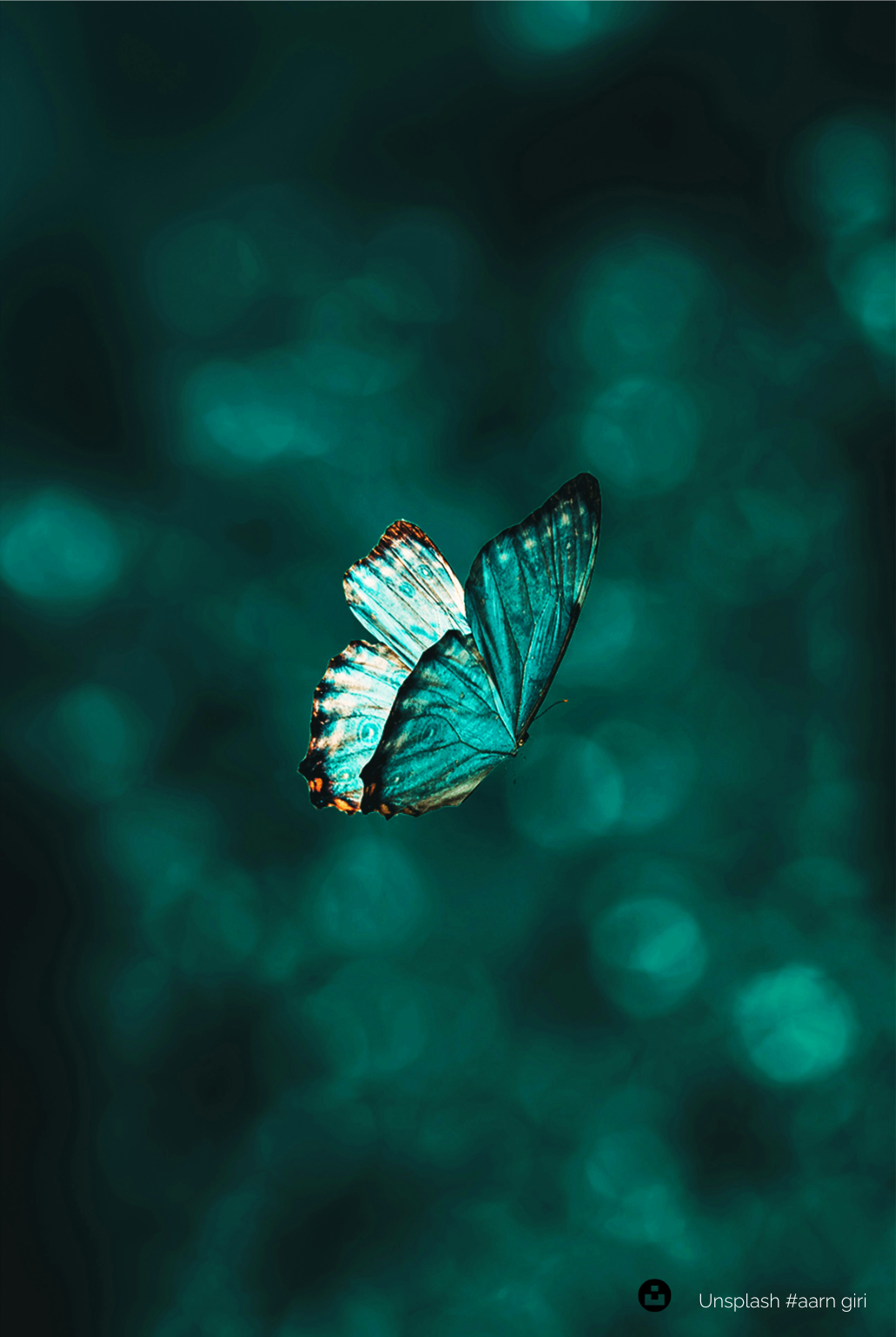 A vibrant blue butterfly floating against a soft teal bokeh background